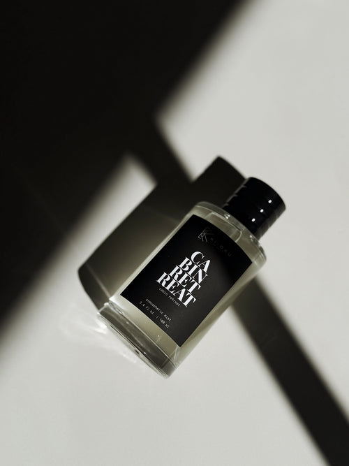 Cabin Retreat  Atmospheric Mist